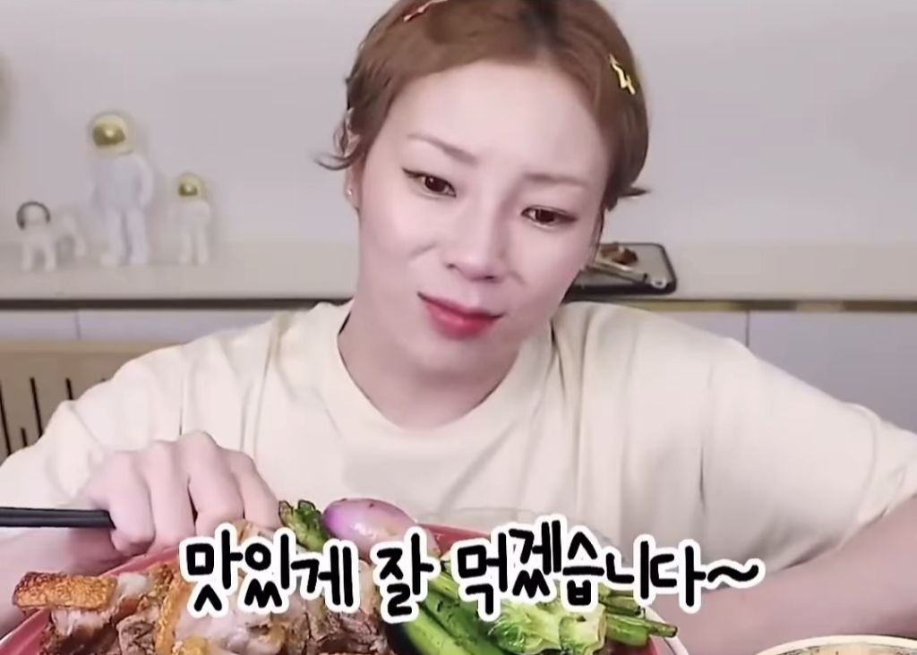 입짧은햇님 활동 중단 시킨 음식.jpg | 인스티즈