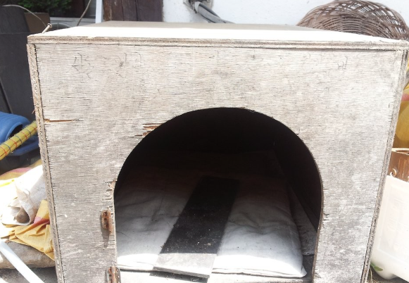 반려견 공격 막다 진돗개에 물린 60대…손가락 절단 중상 | 인스티즈