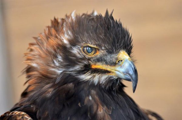 견빈 오징어행.jpg | 인스티즈