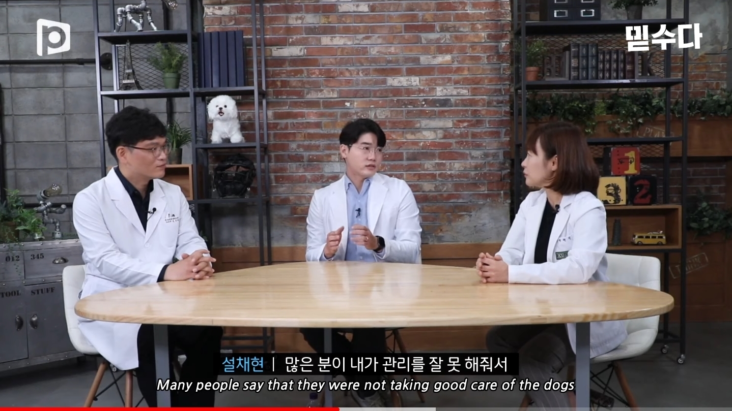 한국에만 슬개골 탈구 강아지가 많은 이유 | 인스티즈