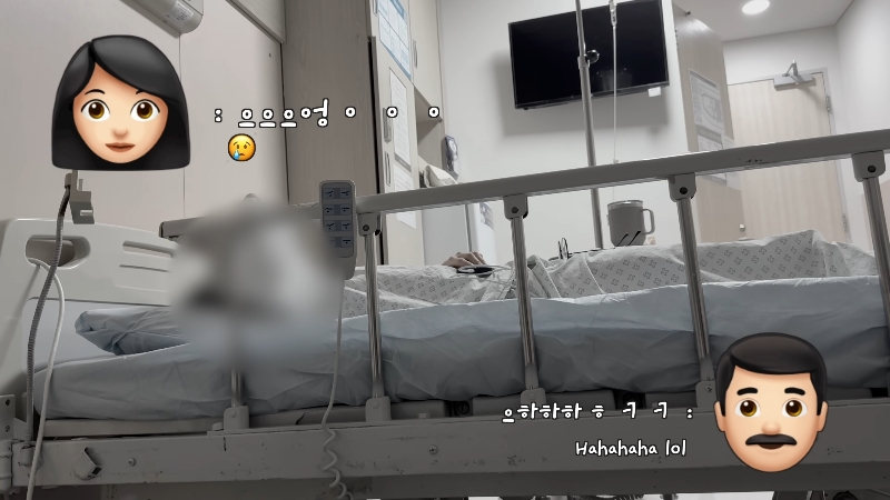 죽다 살아나 반려견 걱정에 오열하는 반려인 | 인스티즈