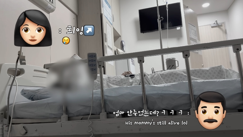 죽다 살아나 반려견 걱정에 오열하는 반려인 | 인스티즈