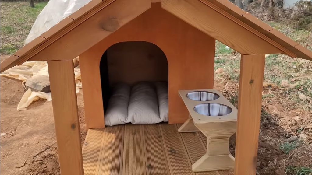 이제 개집도 만드는 매탈남 | 인스티즈