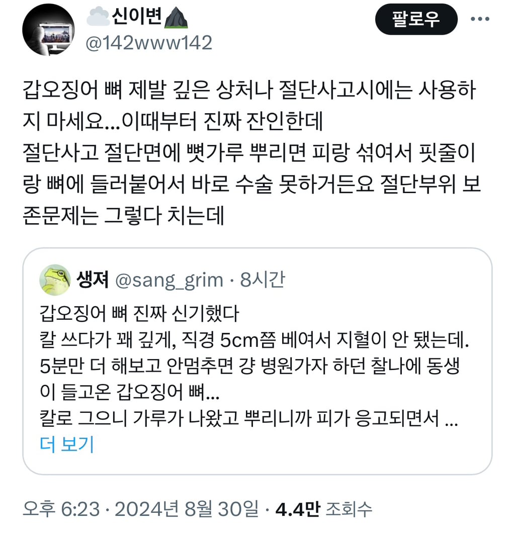무협지 금창약의 재료는 갑오징어 뼈로, 지혈 효과가 있다 (feat.화산귀환) | 인스티즈