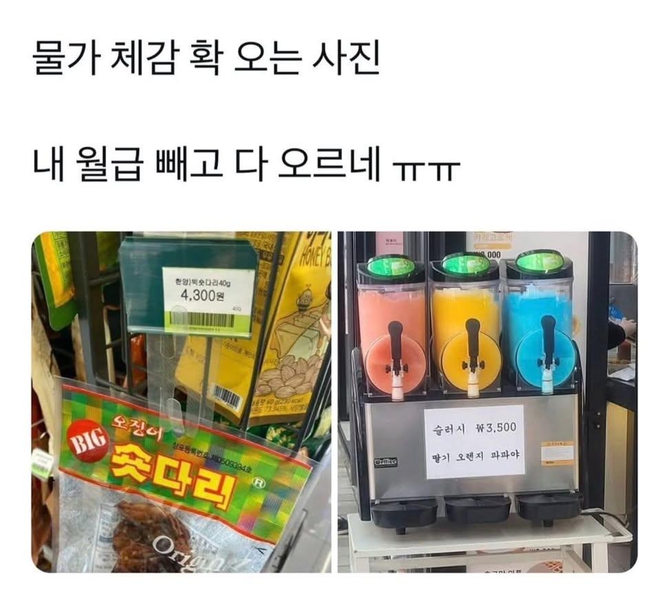 물가 체감 확 오는 사진 | 인스티즈