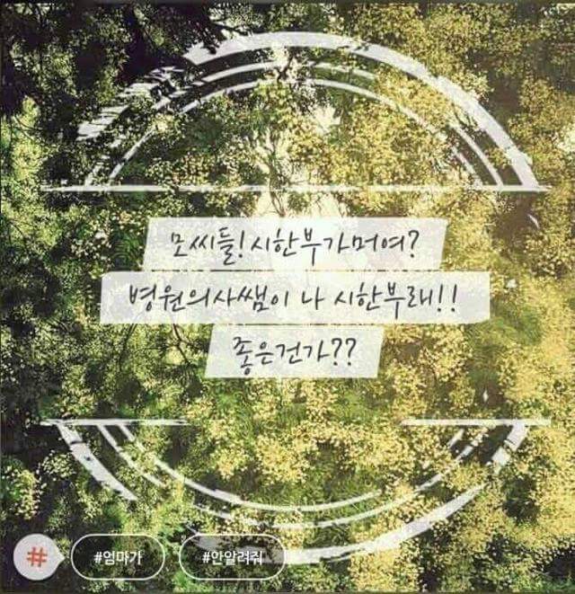 한때 유행했던 모씨감성.jpg | 인스티즈