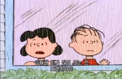 그대의 자질은 아름답다 | 인스티즈