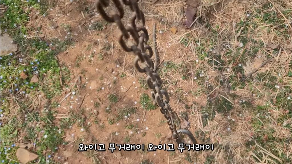 이제 개집도 만드는 매탈남 | 인스티즈