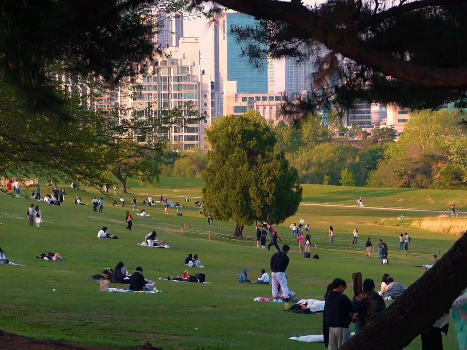 해외에서 화제인 한국 일상 영상 | 인스티즈