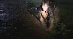 너는 자수하지 않으면 사지가 썩어 죽는다 | 인스티즈