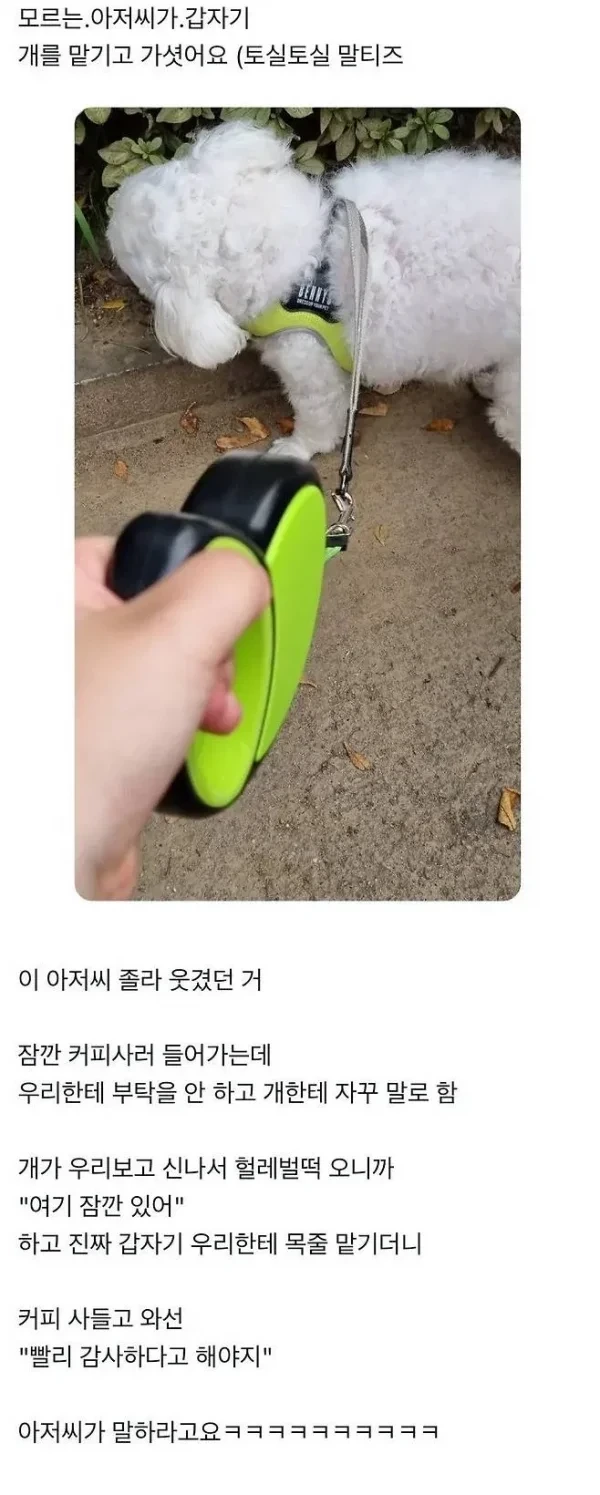 모르는 아저씨가 개 맡기고 감 | 인스티즈