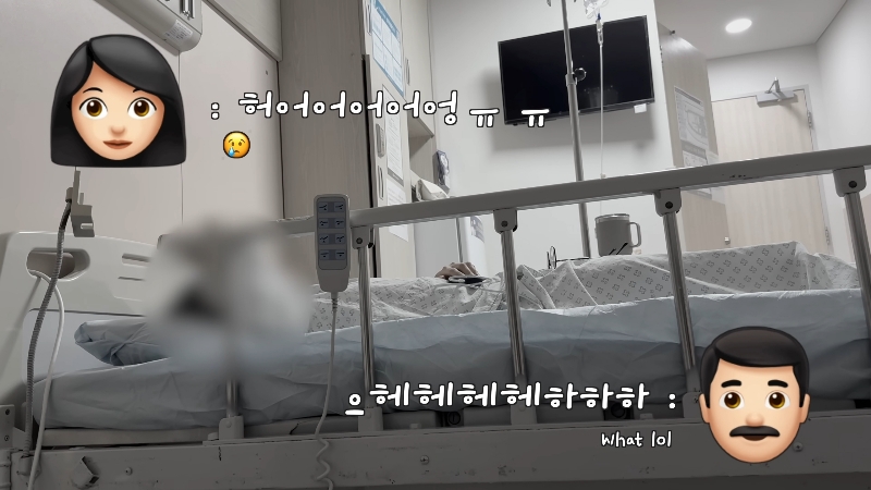 죽다 살아나 반려견 걱정에 오열하는 반려인 | 인스티즈