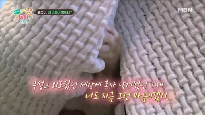 [우리집에해피가왔다] 졸린 척 하는 강아지 해운이.jpgif | 인스티즈