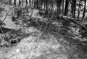 너는 자수하지 않으면 사지가 썩어 죽는다 | 인스티즈