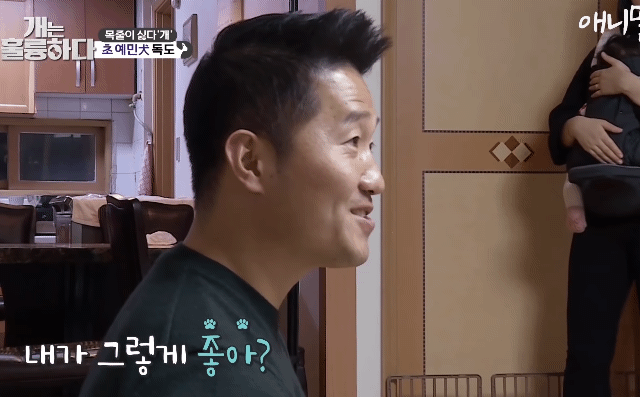 강형욱 망신살 없어서 부러운 달글 | 인스티즈