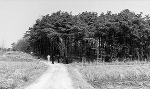 너는 자수하지 않으면 사지가 썩어 죽는다 | 인스티즈