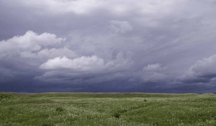 뉴질랜드인이 찍은 개마고원 | 인스티즈
