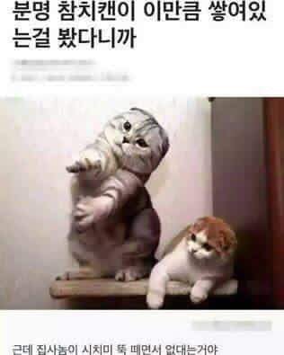 오늘자 결계녀 이정도면 다리페티쉬 아닌가?.. | 인스티즈