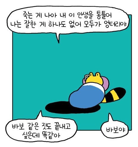 힘들 땐 이런 짤 보는게 왠지 더 힐링인 사람 은근 있음.jpg | 인스티즈