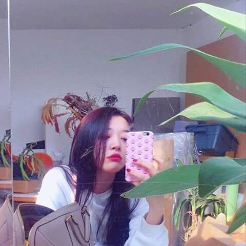 연예인덕 톡톡히 본 폰케이스들.jpg | 인스티즈