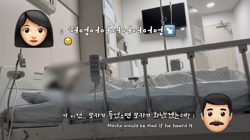 죽다 살아나 반려견 걱정에 오열하는 반려인 | 인스티즈