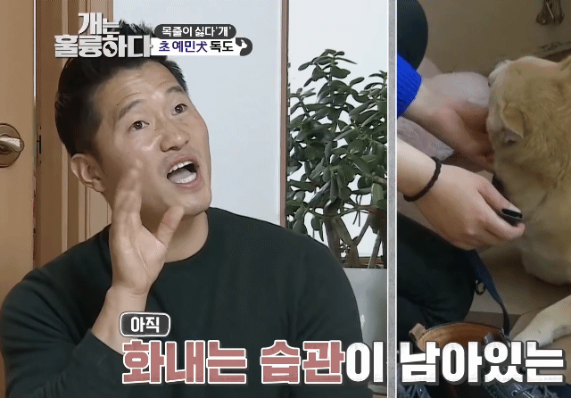 강형욱 망신살 없어서 부러운 달글 | 인스티즈