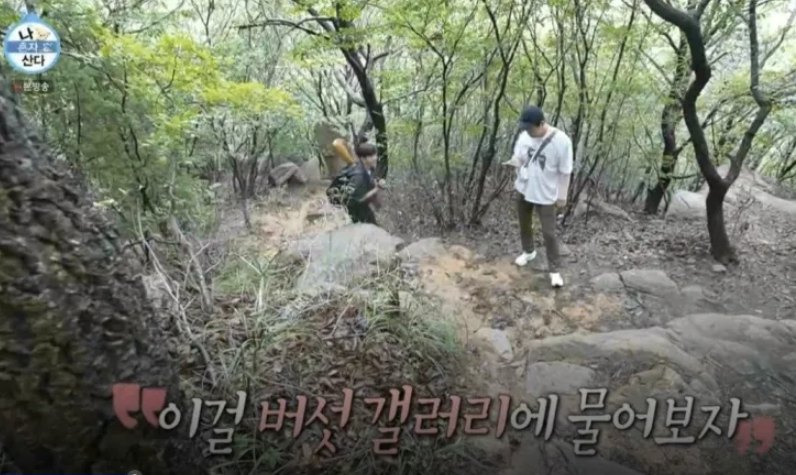 녹화 도중에 진짜 버섯갤러리에 글 쓴 기안84 | 인스티즈