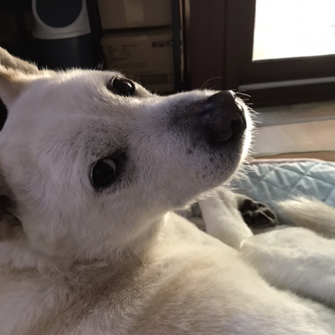 우리 애 아빠 보는 눈빛 봐 | 인스티즈