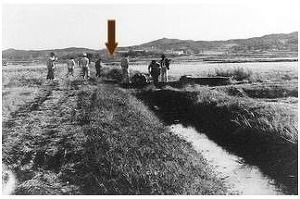 너는 자수하지 않으면 사지가 썩어 죽는다 | 인스티즈