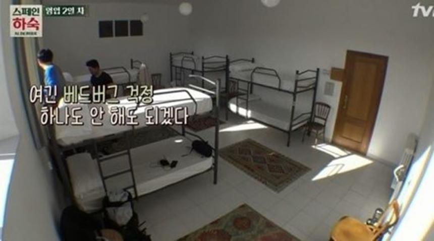 최근 한국에서 증가하고있는 (바퀴벌레보다 끔찍한) 곤충.. | 인스티즈