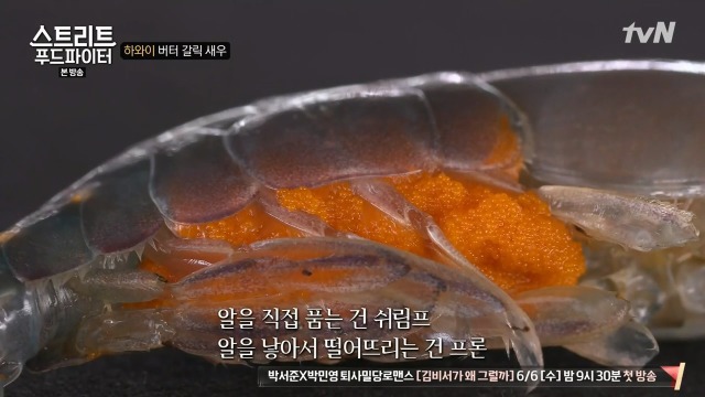 [스트리트푸드파이터] 쉬림프 새우와 프론 새우의 차이 | 인스티즈