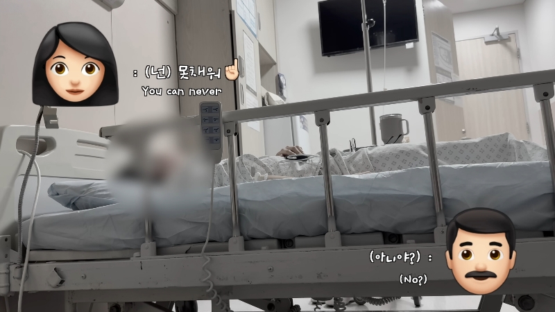 죽다 살아나 반려견 걱정에 오열하는 반려인 | 인스티즈