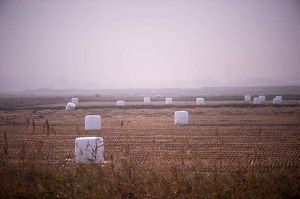 너는 자수하지 않으면 사지가 썩어 죽는다 | 인스티즈
