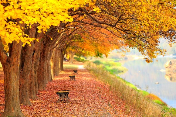 오소마츠상에 관한 소소한 비밀들 | 인스티즈