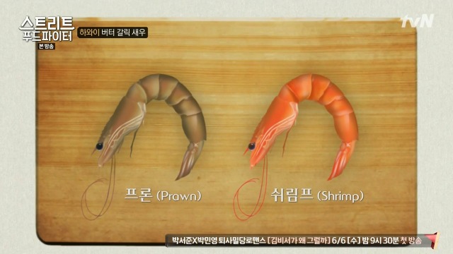 [스트리트푸드파이터] 쉬림프 새우와 프론 새우의 차이 | 인스티즈