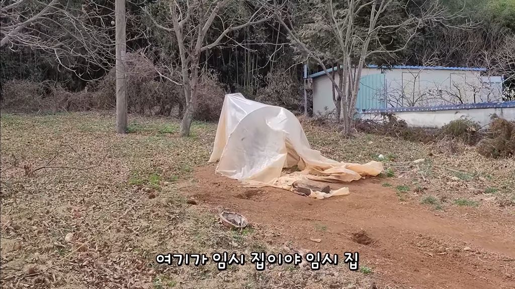 이제 개집도 만드는 매탈남 | 인스티즈