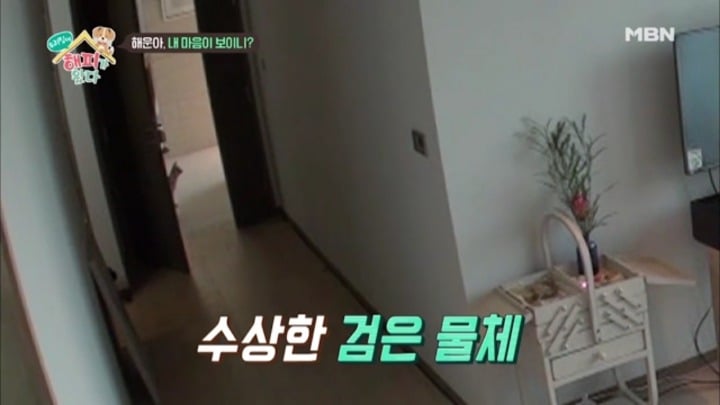 [우리집에해피가왔다] 졸린 척 하는 강아지 해운이.jpgif | 인스티즈