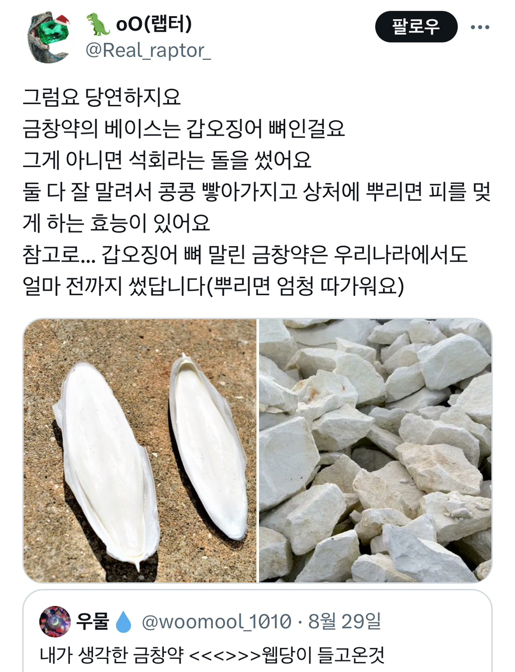 무협지 금창약의 재료는 갑오징어 뼈로, 지혈 효과가 있다 (feat.화산귀환) | 인스티즈