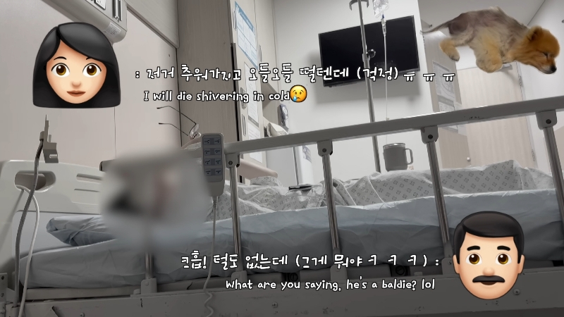 죽다 살아나 반려견 걱정에 오열하는 반려인 | 인스티즈