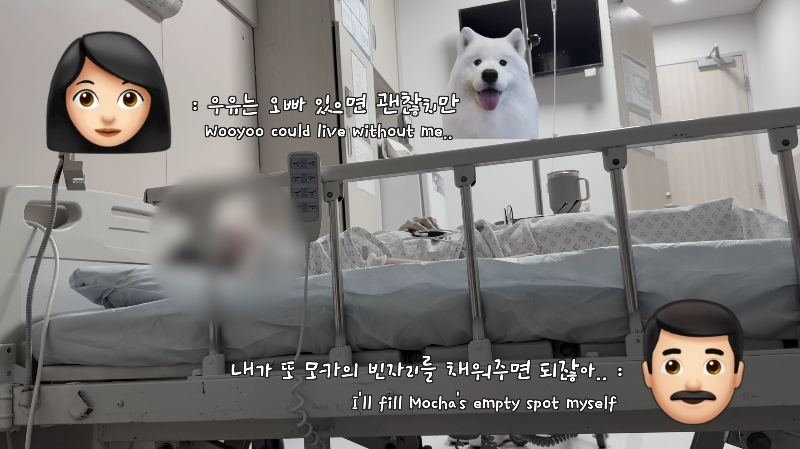 죽다 살아나 반려견 걱정에 오열하는 반려인 | 인스티즈