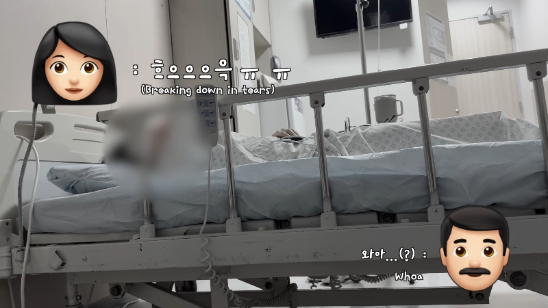 죽다 살아나 반려견 걱정에 오열하는 반려인 | 인스티즈