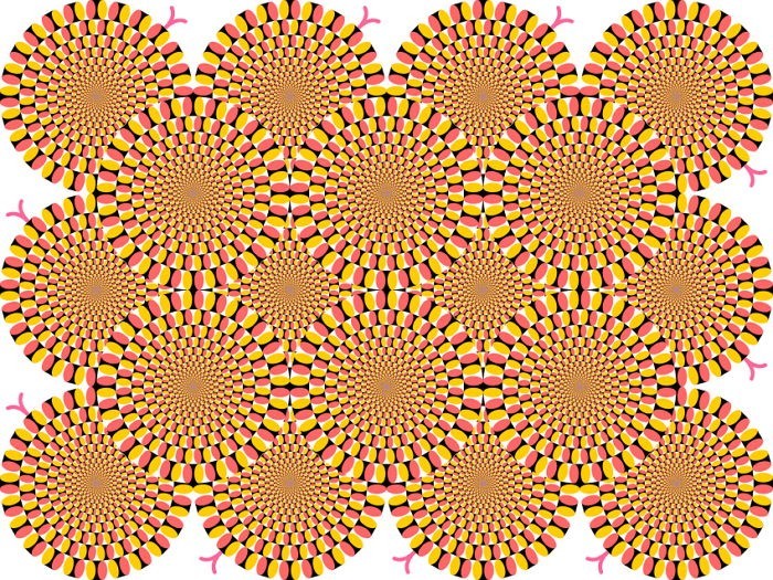 스트레스 지수 확인할 수 있는 착시현상 그림 4장.JPG | 인스티즈