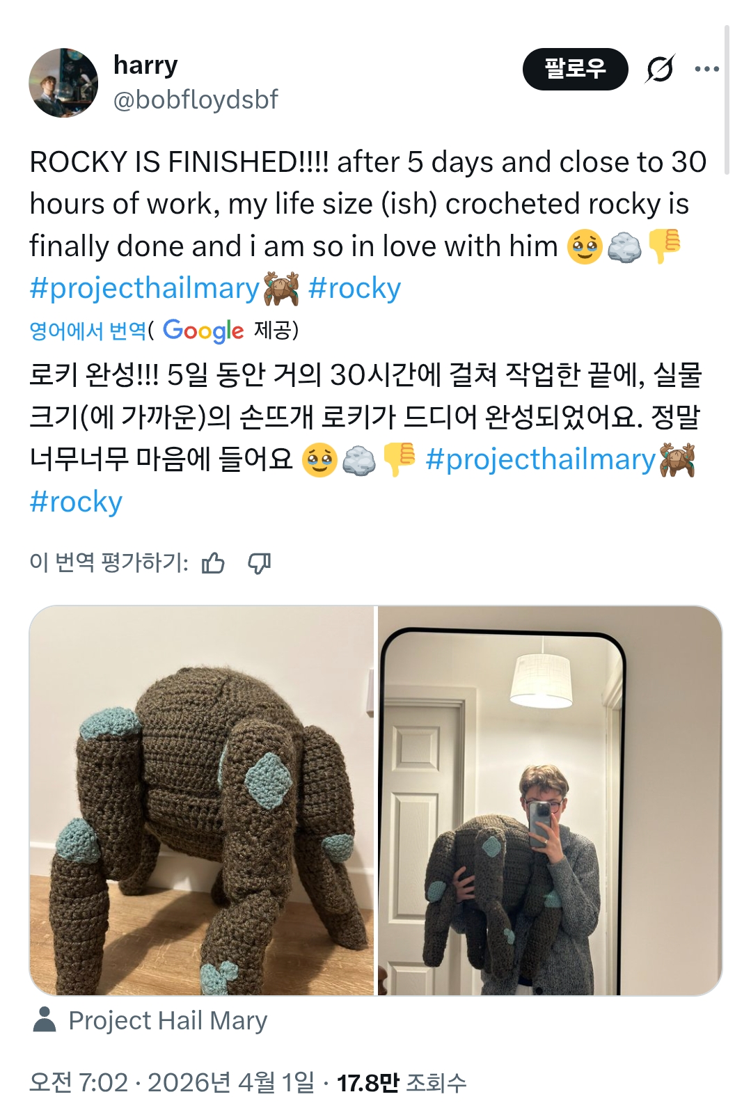 헤일메리 "로키" 실물크기 뜨개질 | 인스티즈