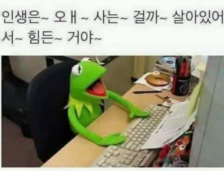 힘들 땐 이런 짤 보는게 왠지 더 힐링인 사람 은근 있음.jpg | 인스티즈