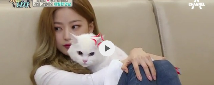 스윙스 여자친구 실물 ㄷㄷㄷㄷ.jpg | 인스티즈