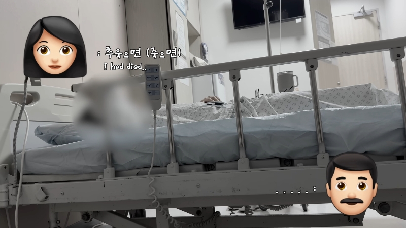 죽다 살아나 반려견 걱정에 오열하는 반려인 | 인스티즈