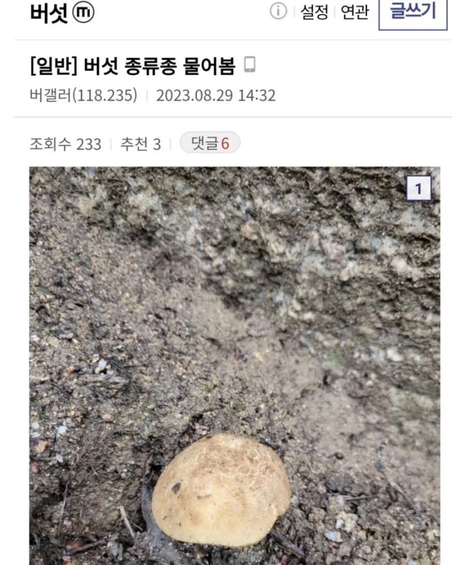 녹화 도중에 진짜 버섯갤러리에 글 쓴 기안84 | 인스티즈