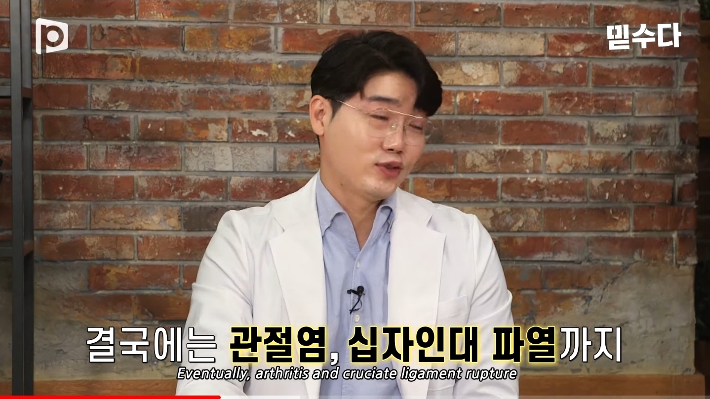 한국에만 슬개골 탈구 강아지가 많은 이유 | 인스티즈