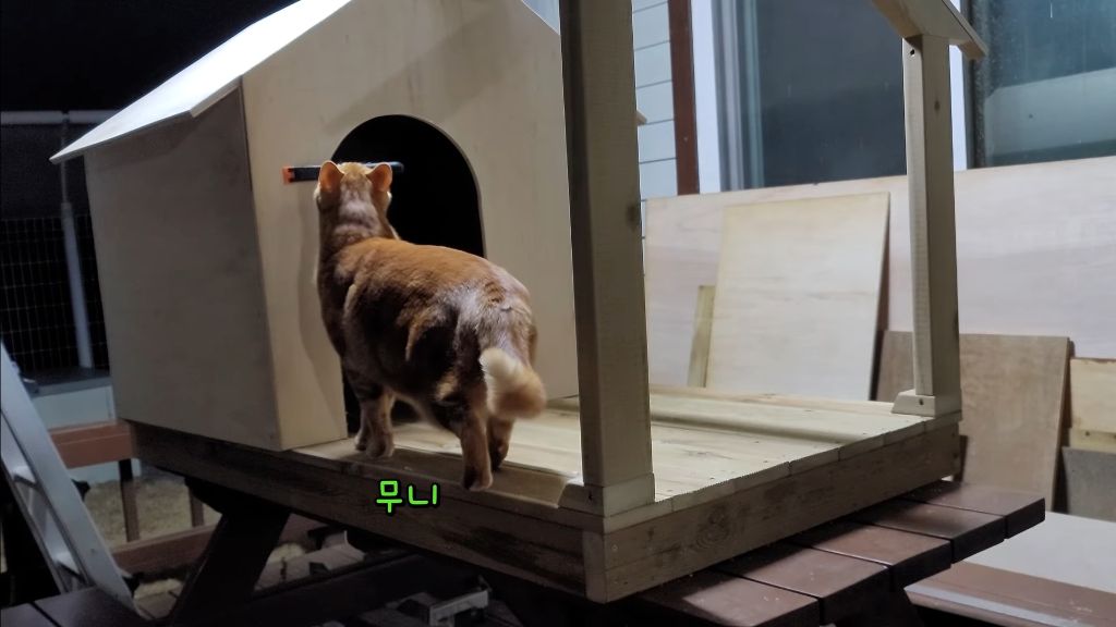 이제 개집도 만드는 매탈남 | 인스티즈