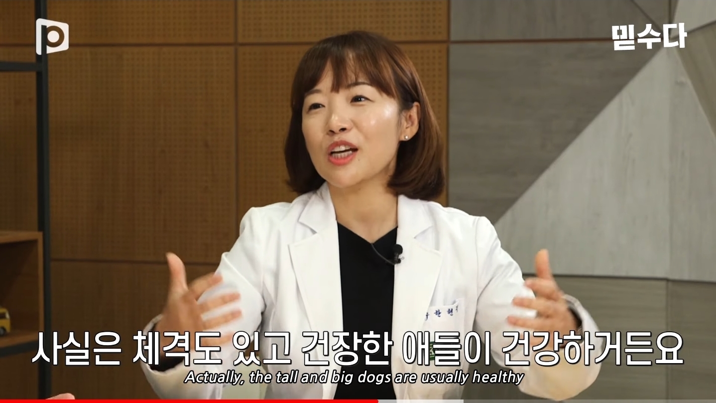 한국에만 슬개골 탈구 강아지가 많은 이유 | 인스티즈